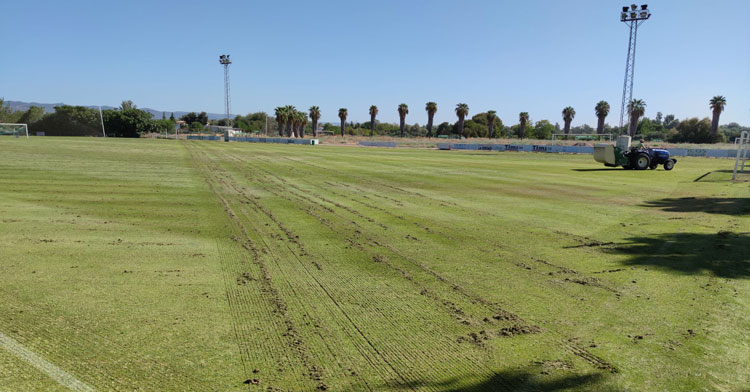 El proceso de cambio de semilla en la Ciudad Deportiva para que se mantenga el verde. Foto: CCF