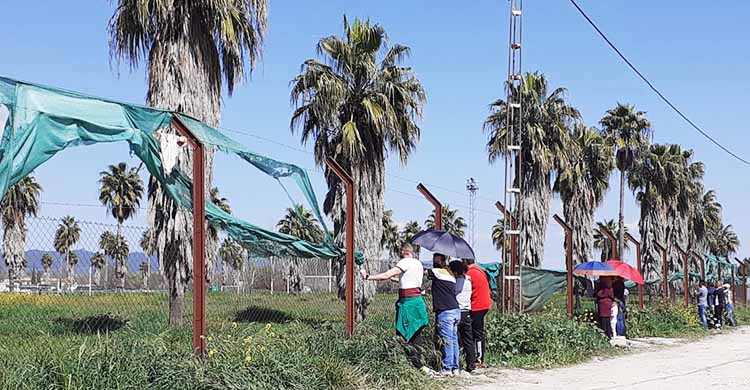 Padres y familiares se agolpan cada fin de semana en los aledaños de la Ciudad Deportiva para poder seguir a sus hijos a distancia en el Camino de Carbonell.