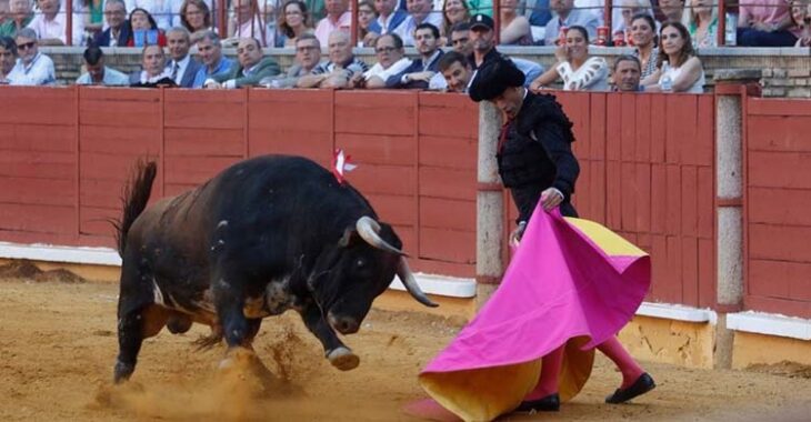 Finito de Córdoba dando recibiendo al toro.