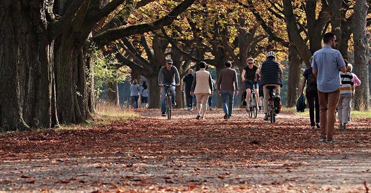 Un ciclista en la ruta iniciada en Alcalá de Guadaira.