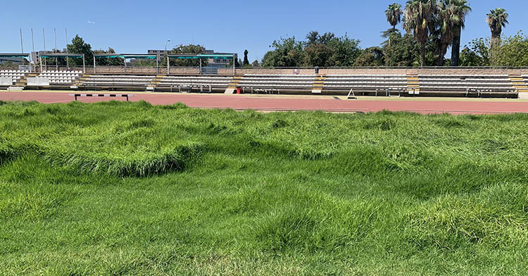 La imagen de la pradera de El Fontanar donde se lanza el tiro con jabalina o martillo lo dice todo.