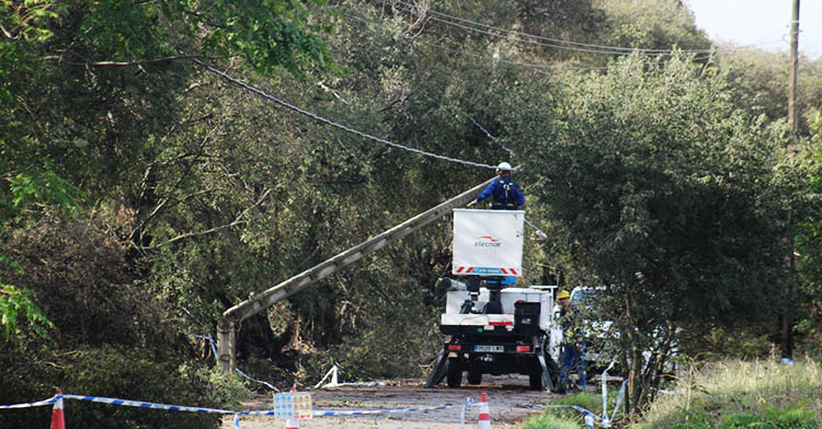 La masiva caída de árboles afectó a los postes de luz, por lo que se cortó el acceso habitual.