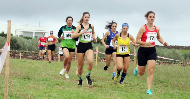 Una prueba de cross del Circuito Provincial. Foto: Los Califas-UCO