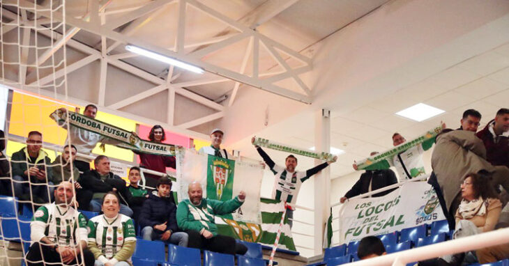 Aficionados del Córdoba Patrimonio en un partido del equipo. Foto: Edu Luque / Córdoba Futsal