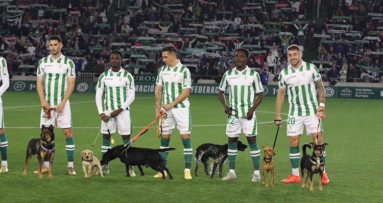 Los jugadores del Córdoba CF posando con perros, algunos los propios, en la salida al terreno de juego.
