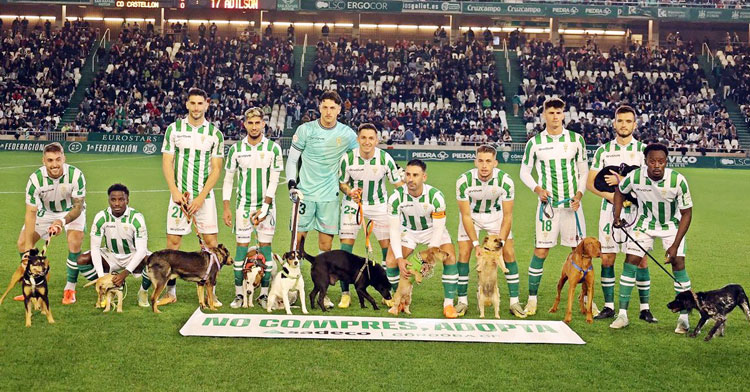 La peculiar última formación del Córdoba en casa. Foto: CCF