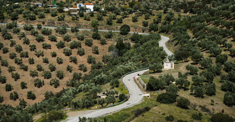 Un trozo de recorrido de un tramo del Sierra Morena