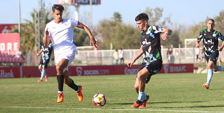 El Ciudad de Lucena se medirá al Sevilla C, de nuevo en casa. Foto: Antonio Quintero / Ciudad de Lucena