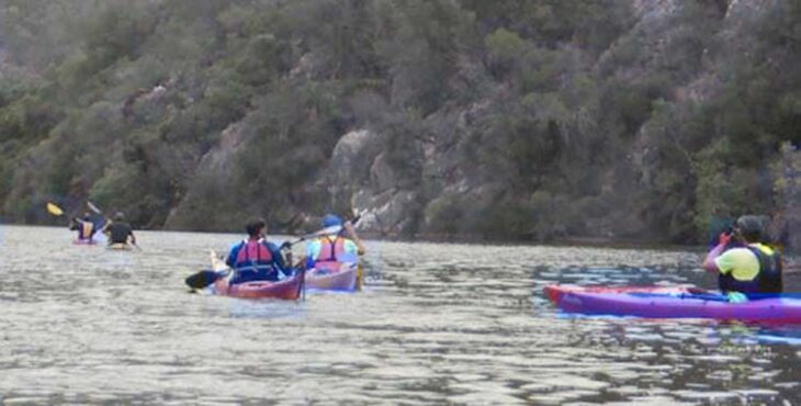 La XV Ruta del Caimán regresa al Guadalquivir los días 6, 7 y 8 de septiembre, con más de 400 participantes previstos en esta actividad gratuita, familiar y solidaria organizada por el Club de Piragüismo de Córdoba.