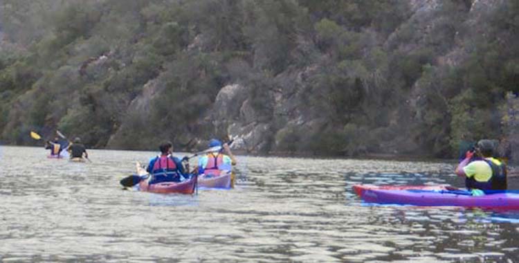 La XV Ruta del Caimán regresa al Guadalquivir los días 6, 7 y 8 de septiembre, con más de 400 participantes previstos en esta actividad gratuita, familiar y solidaria organizada por el Club de Piragüismo de Córdoba.
