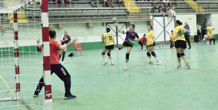 El Rahi-Sepisur Córdoba cosechó su primera derrota liguera en La Fuensanta. Foto: Laclasi.es