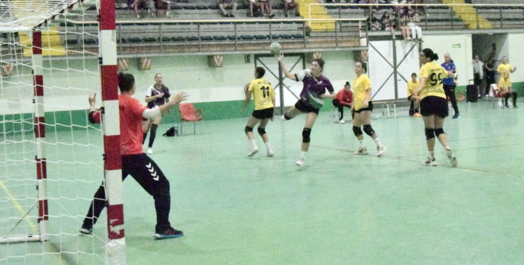 Adesal-Recurso-derrota