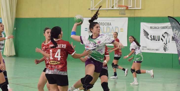 Momento del duelo entre Lobas Global Atac Oviedo y Rahi-Sepisur Córdoba en el Florida Arena, un encuentro intenso que terminó con victoria local por 24-20.