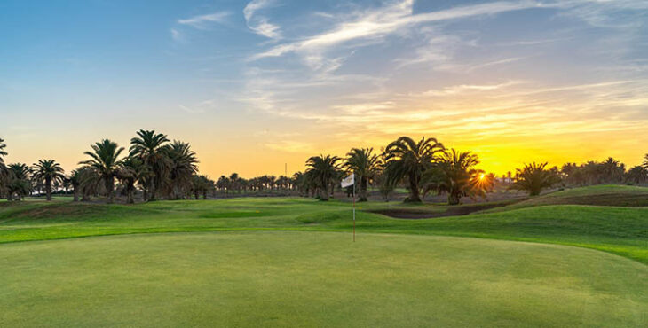 Unos de los greenes de Costa Teguise Golf.