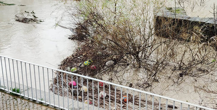 La curiosa imagen de distintos balones arrastrados por el Guadalquivir a la altura del Molino de Martos.